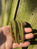 Moss Patch 4" Dinger
