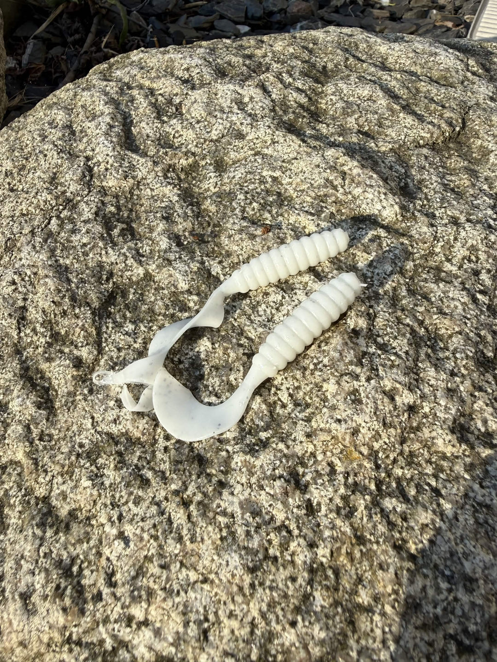 Silver Shiner Twister Tail